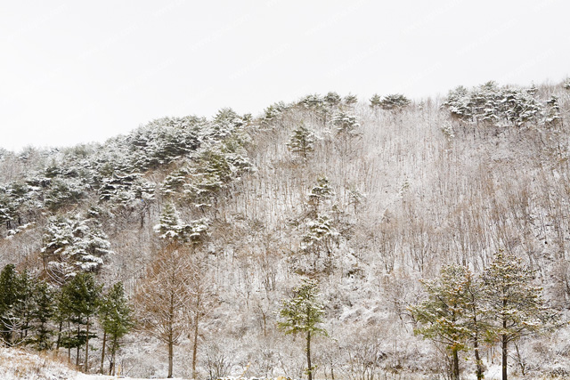 눈 덮힌 산 이미지 미리보기