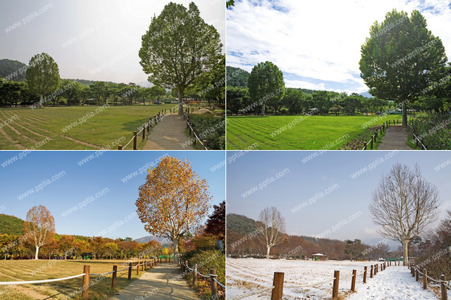 공원 산책로 이미지 미리보기
