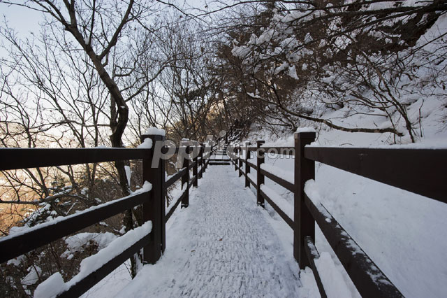 눈 덮인 등산길 이미지 미리보기