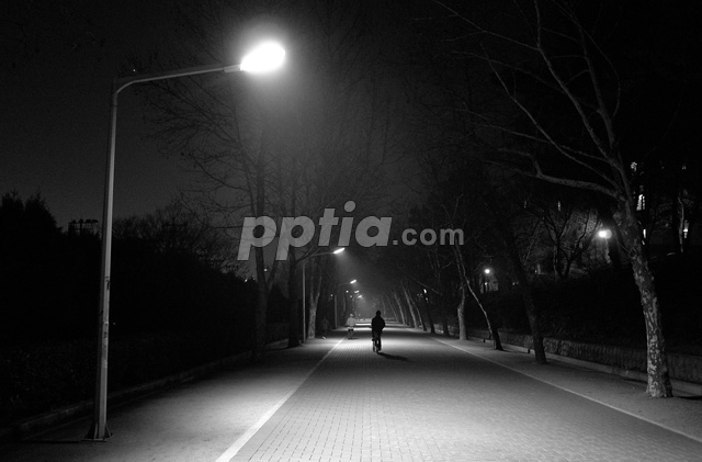가로등 불빛 아래 길 이미지 미리보기