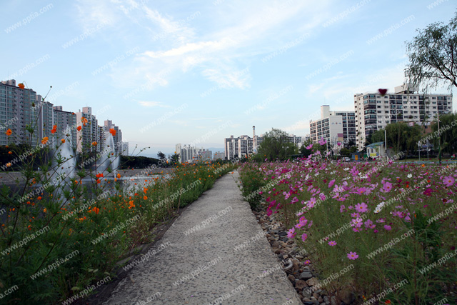아파트 이미지 미리보기
