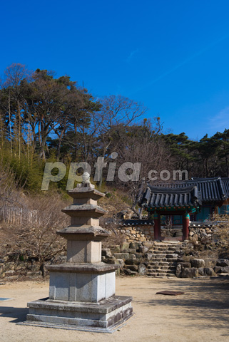 석탑과 전통건물 이미지 미리보기