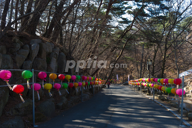 연등이 있는 길 이미지 미리보기