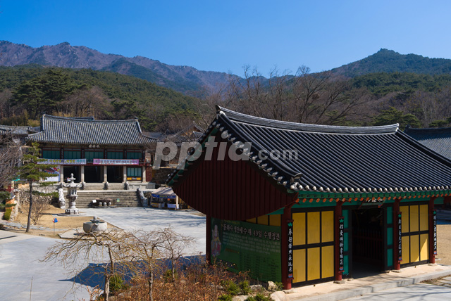 동화사 이미지 미리보기