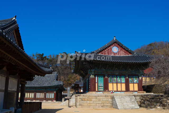 대웅전 이미지 미리보기