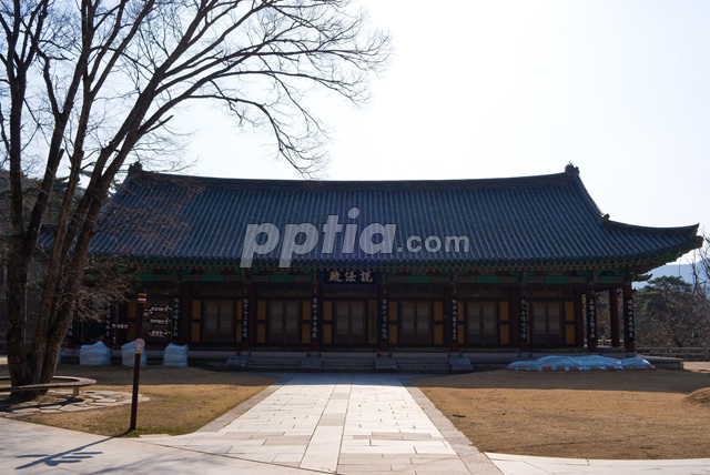 설법전 이미지 미리보기