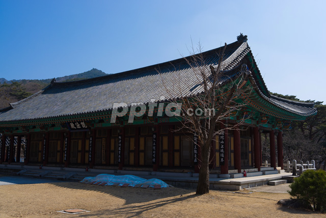 설법전 이미지 미리보기