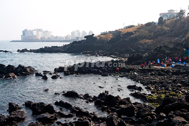 제주도 용두암 이미지 미리보기