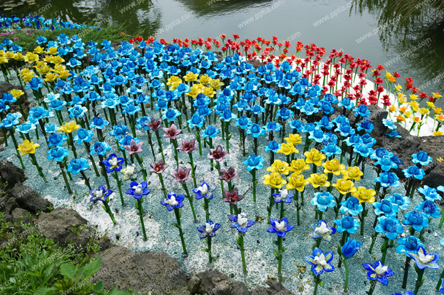 제주도 유리의 성 이미지 미리보기