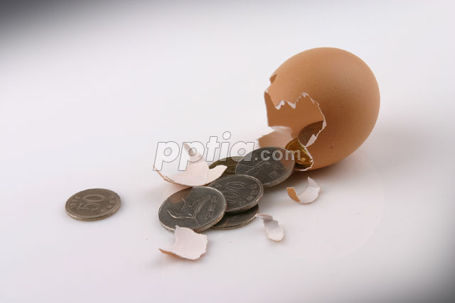 동전과달걀 이미지 미리보기