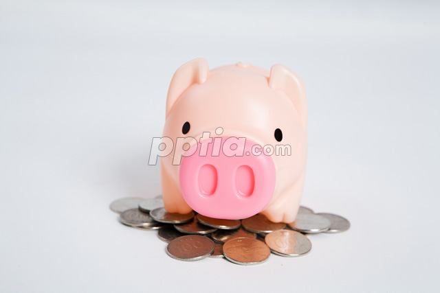 돼지저금통과 동전 이미지 미리보기