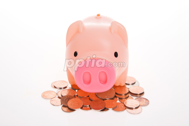 동전 위에 돼지저금통 이미지 미리보기