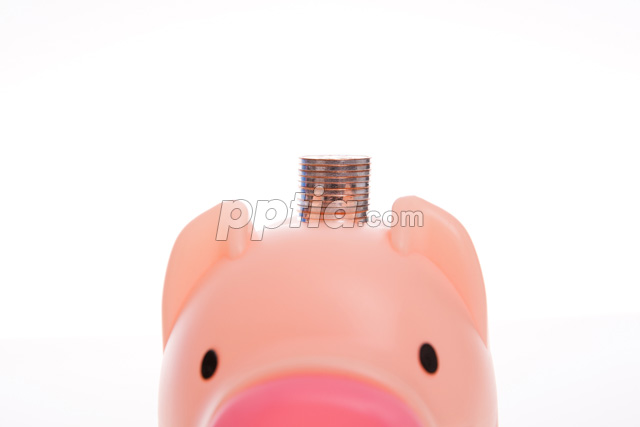 돼지저금통과 동전 이미지 미리보기