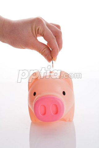 돼지저금통과 동전 들고 있는 손 이미지 미리보기
