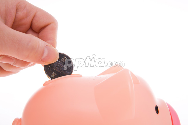 돼지저금통과 동전 들고 있는 손 이미지 미리보기