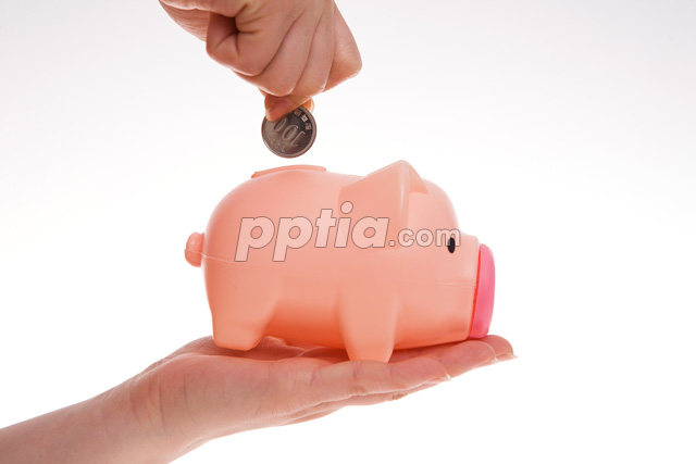 돼지저금통과 동전 들고 있는 손 이미지 미리보기