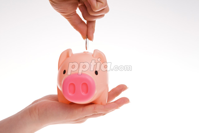 돼지저금통과 동전 들고 있는 손 이미지 미리보기