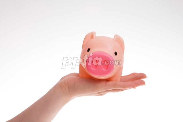 손 위에 돼지저금통 이미지 미리보기