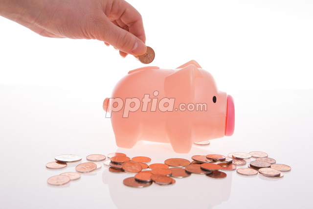 돼지저금통과 동전 들고 있는 손 이미지 미리보기