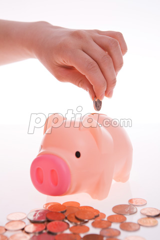 돼지저금통과 동전 들고 있는 손 이미지 미리보기