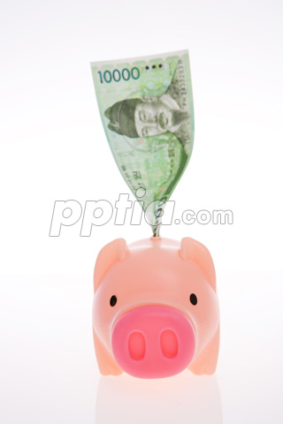 돼지저금통과 돈 이미지 미리보기