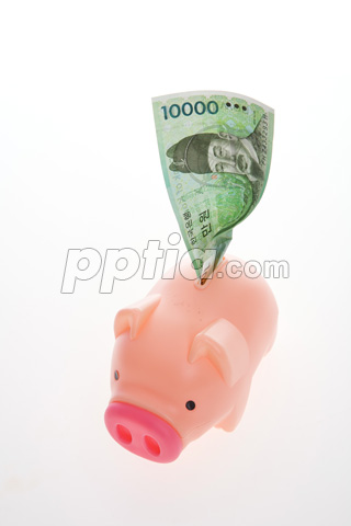 돼지저금통과 돈 이미지 미리보기
