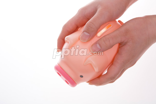 돼지저금통 잡고 있는 손 이미지 미리보기