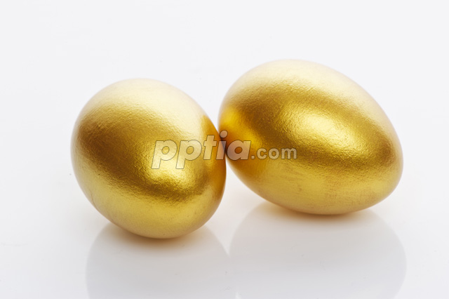 황금달걀 이미지 미리보기
