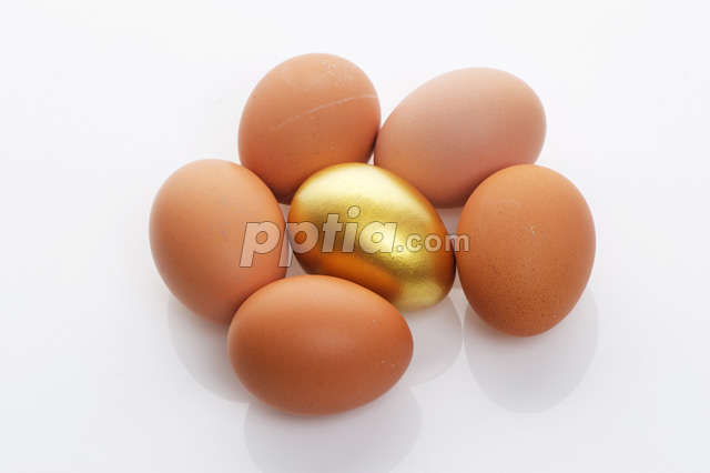 달걀에 둘러쌓인 황금달걀 이미지 미리보기