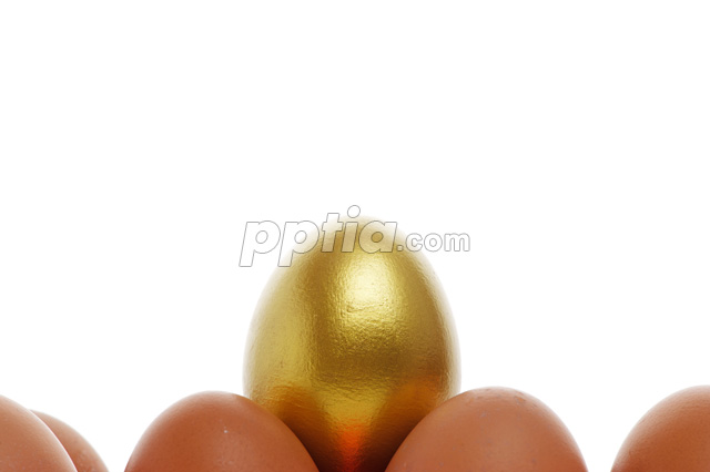 달걀 위에 황금달걀 이미지 미리보기