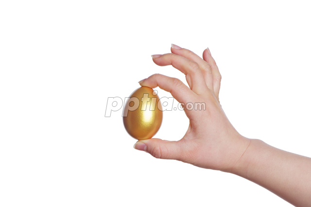 황금달걀 잡고 있는 손 이미지 미리보기