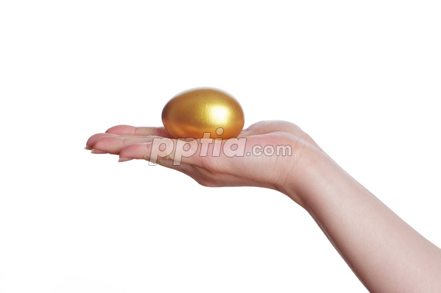 손 위에 황금달걀 이미지 미리보기