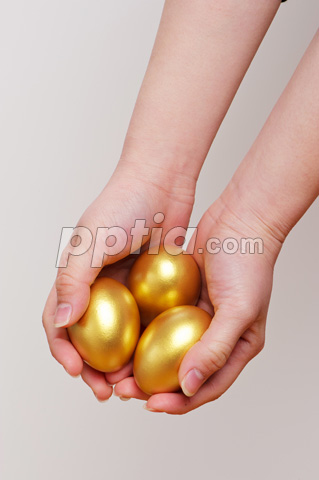 두 손 위에 황금달걀 이미지 미리보기