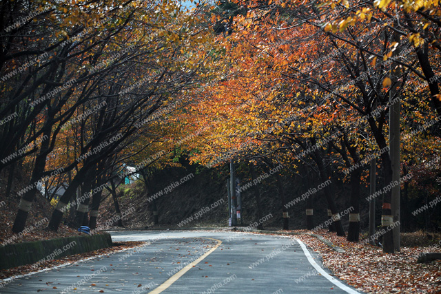 도로 이미지 미리보기