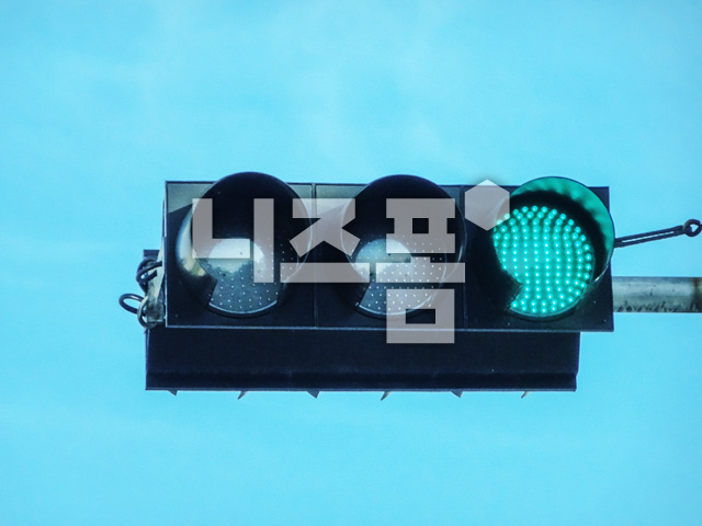 파란신호등 이미지 미리보기