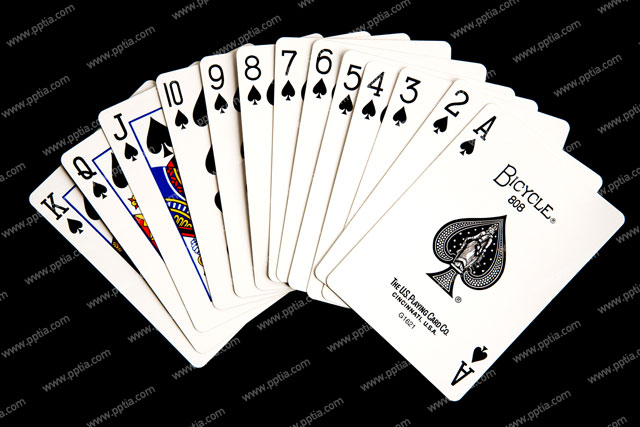 포커카드 이미지 미리보기