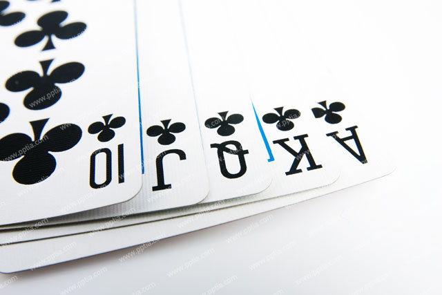 포커카드 이미지 미리보기