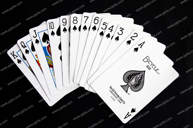 포커카드 이미지 미리보기