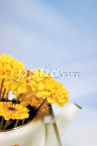 꽃병과 노란꽃 이미지 미리보기