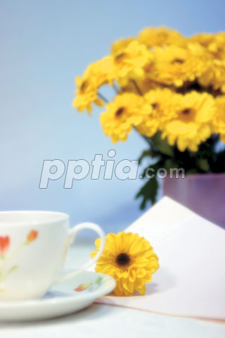 노란색 꽃과 커피잔 이미지 미리보기