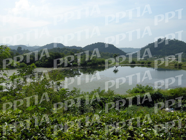 호수 이미지 미리보기