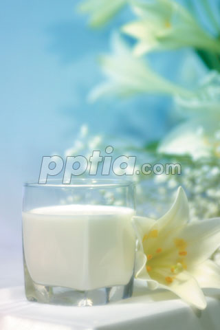 꽃과 우유 이미지 미리보기
