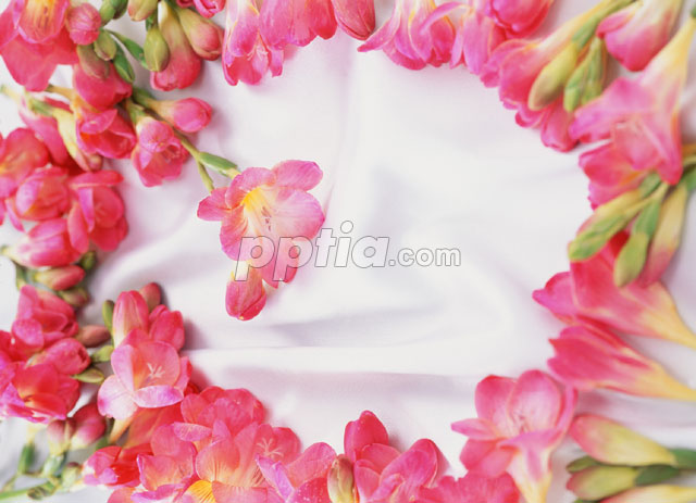 꽃 이미지 미리보기
