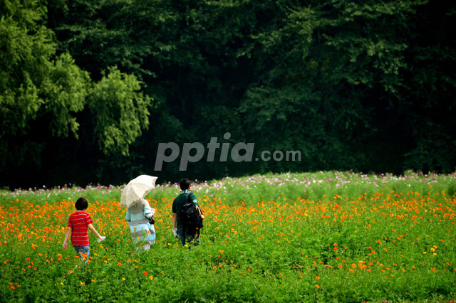 꽃밭을 걷는 사람들 이미지 미리보기