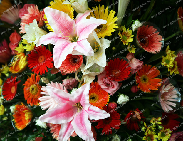 꽃 이미지 미리보기