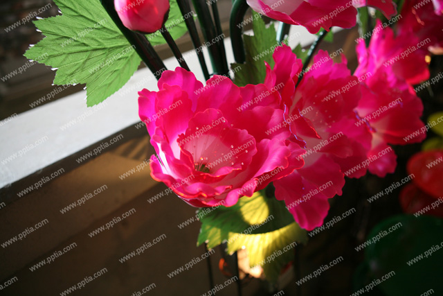 꽃 이미지 미리보기