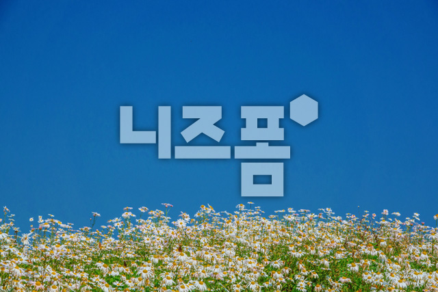 하늘과구절초 이미지 미리보기