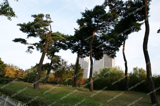 공원 이미지 미리보기