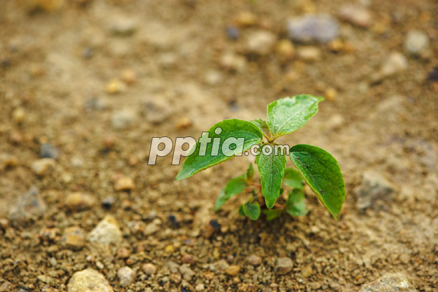 풀 이미지 미리보기