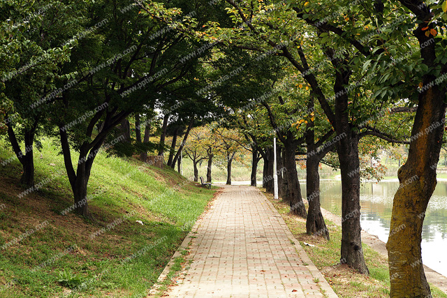 산책로 이미지 미리보기